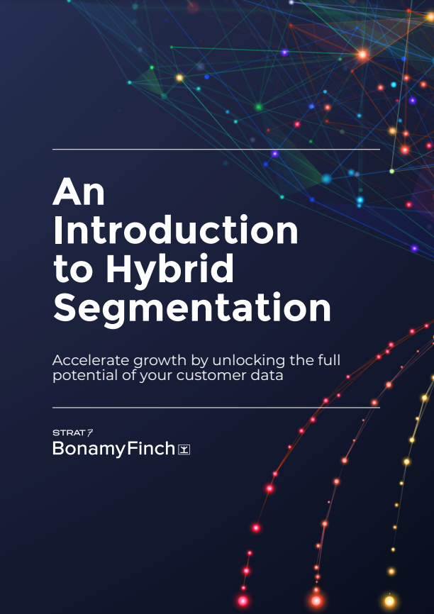 BF-ebook-intro-hybrid-segmentation-thumb