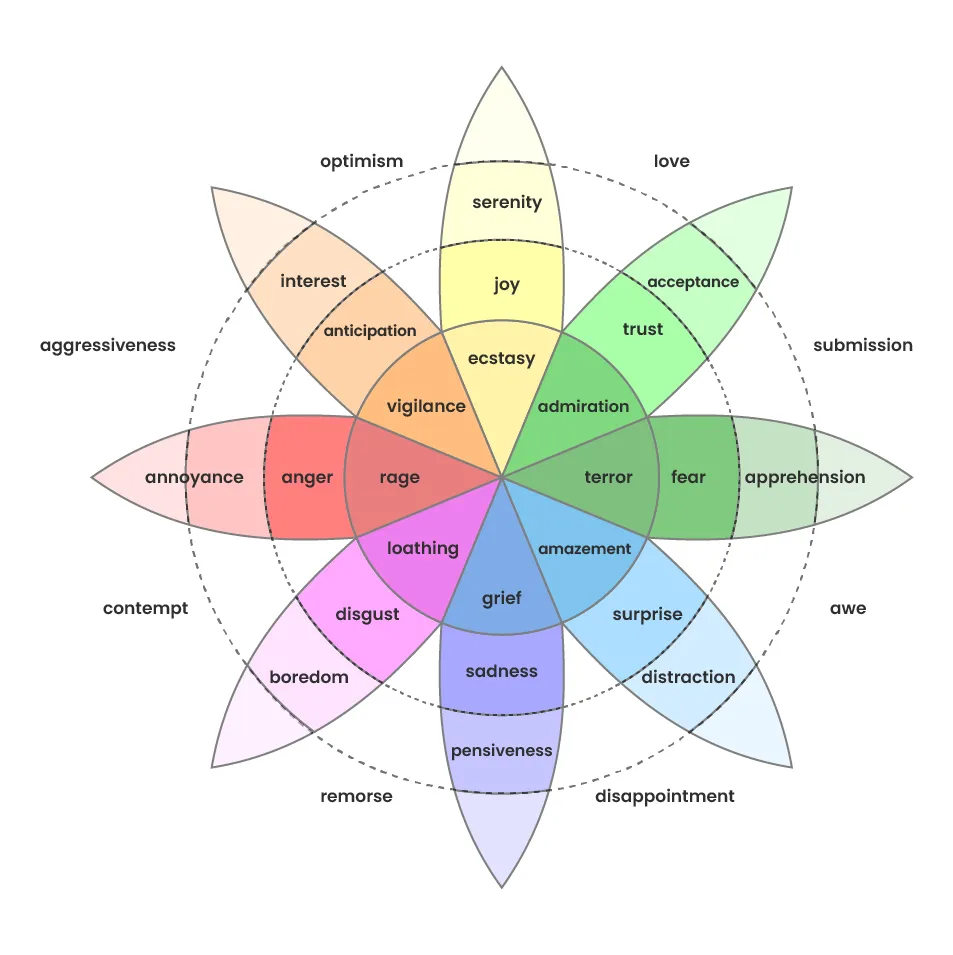 Emotion detection diagram